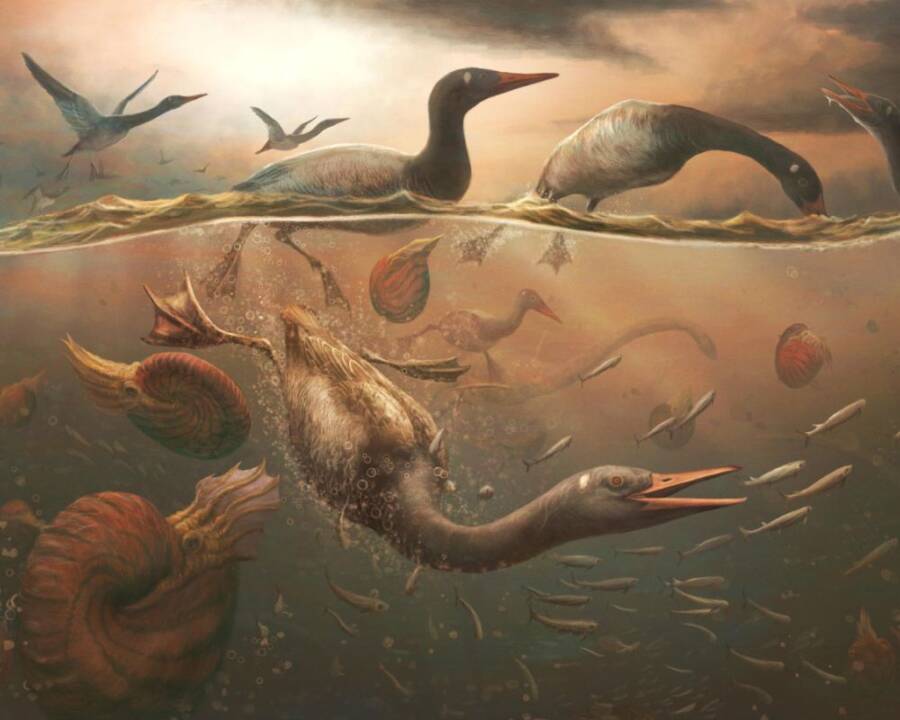 "Unearthed: The Prehistoric 'Duck' That Could Redefine Our Understanding of Modern Birds!"