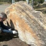 "Unbelievable Discovery: High School Office Reveals Ancient Dinosaur Footprints Hidden for Millennia!"