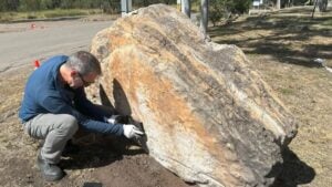 "Unbelievable Discovery: High School Office Reveals Ancient Dinosaur Footprints Hidden for Millennia!"