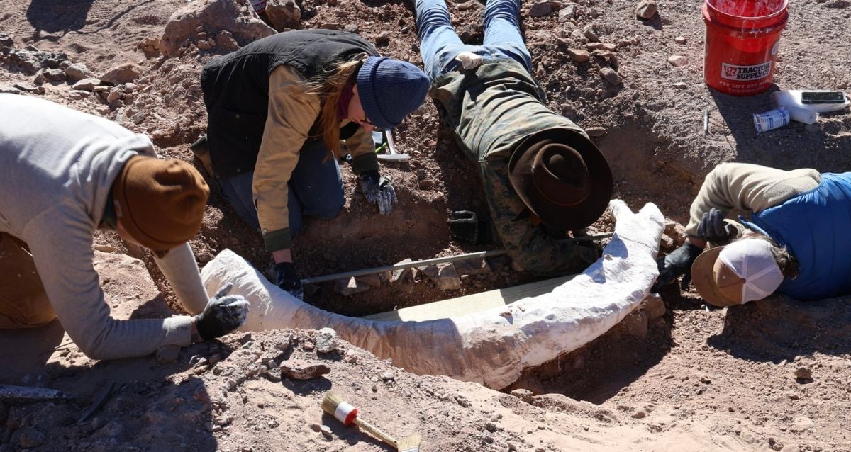 "Unbelievable Discovery: Texas Deer Hunter Unearths Ancient Mammoth Tusk That Could Rewrite History!"