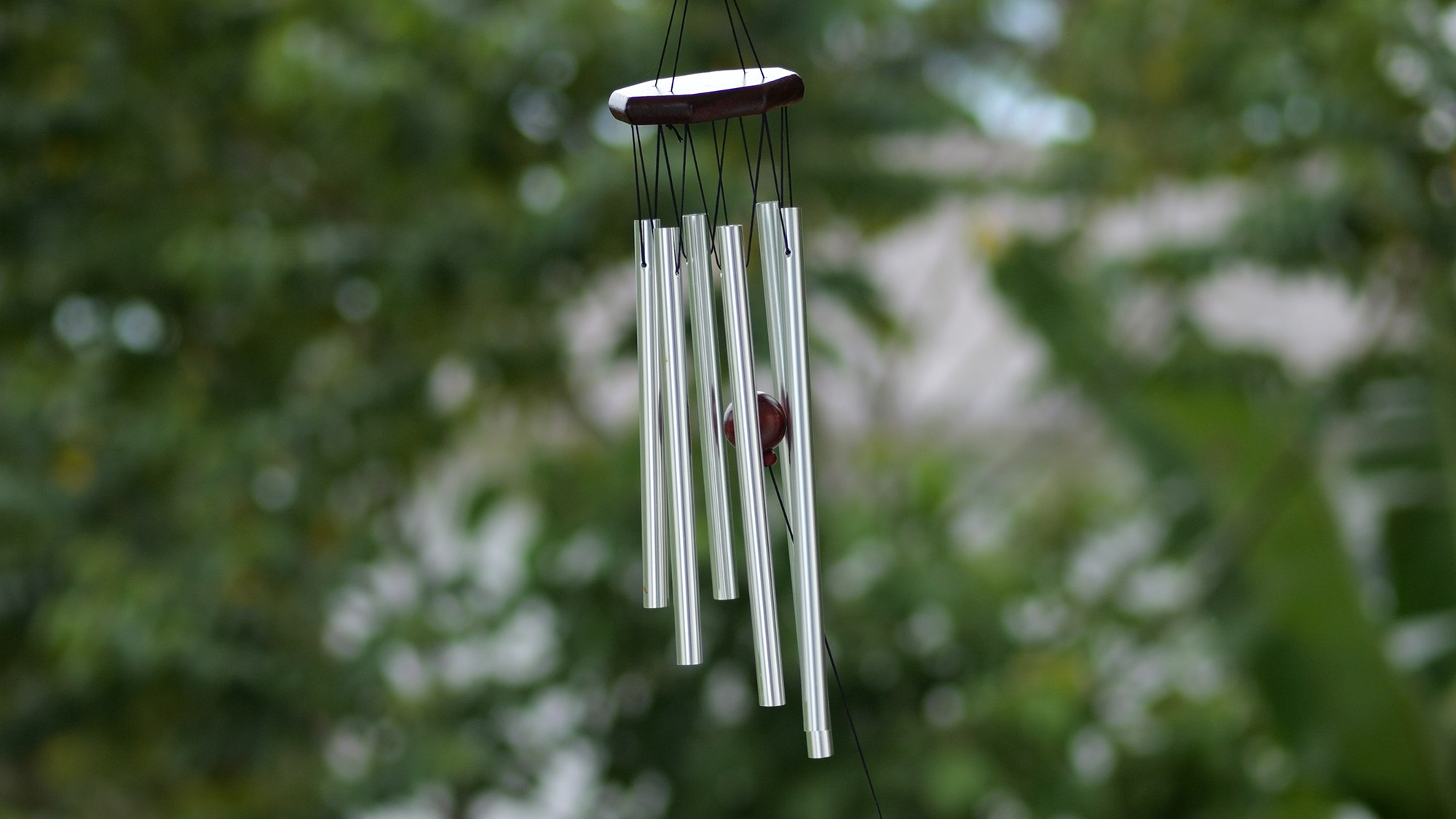 "Whimsical or Worrisome? How Wind Chimes Became Our Last Line of Defense Against Hurricanes!"