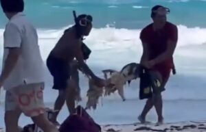 Cancun Horror: Drowned Man&apos;s Body Recovered, Partially Devoured by Sharks