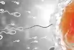 Revolutionary Sperm Race Unveiled: Inside the Groundbreaking Event Where Speed Determines Destiny