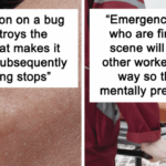 16 Surprising Quirky Facts From Strangers That Will Change How You See the World Forever