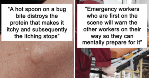 16 Surprising Quirky Facts From Strangers That Will Change How You See the World Forever