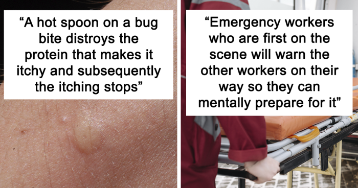 16 Surprising Quirky Facts From Strangers That Will Change How You See the World Forever