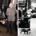 32 Rare Vintage Photos That Reveal History’s Hidden Moments Like Never Before