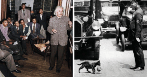 32 Rare Vintage Photos That Reveal History’s Hidden Moments Like Never Before