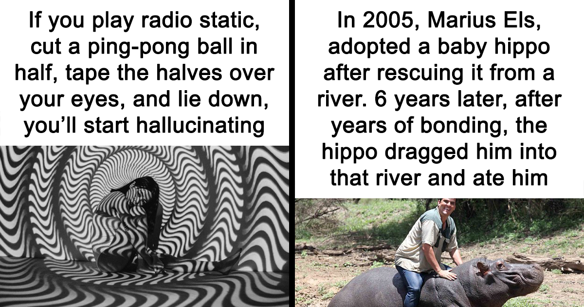 44 Mind-Blowing Facts You Won’t Believe Are True—Prepare to Be Amazed!