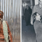 47 Mind-Blowing Facts You Won’t Believe Are True—Revealed by a Viral X Account