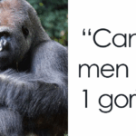 5 Unexpected Viral Moments That Broke Through the Chaos of Your April Struggles