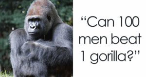 5 Unexpected Viral Moments That Broke Through the Chaos of Your April Struggles