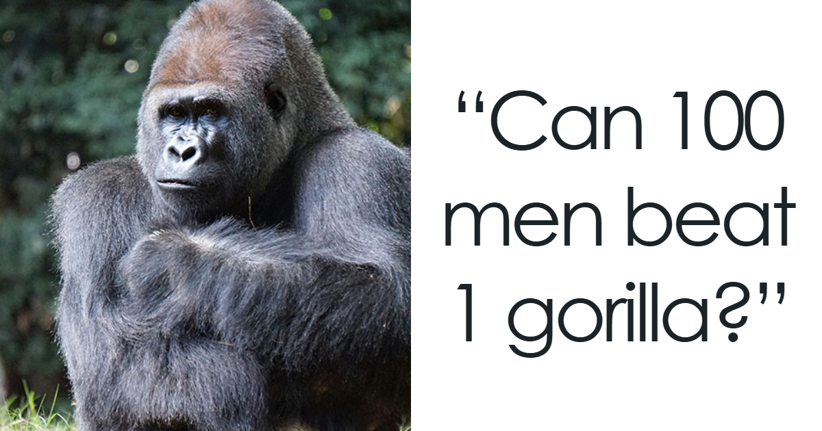 5 Unexpected Viral Moments That Broke Through the Chaos of Your April Struggles