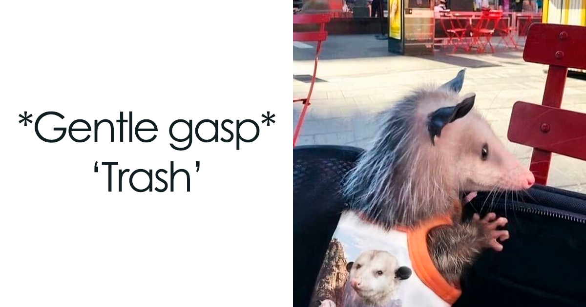 75 Unbelievably Cute Animal Photos That Will Melt Your Heart in Seconds