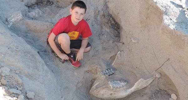 9-Year-Old’s Childhood Stumble Reveals Astonishing 1.2 Million-Year-Old Stegomastodon Fossil in New Mexico
