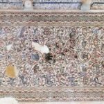 Ancient Byzantine Mosaic Unearthed in Israel’s Negev Desert Reveals Secrets Lost for 1,600 Years—Now Revealed to the World!