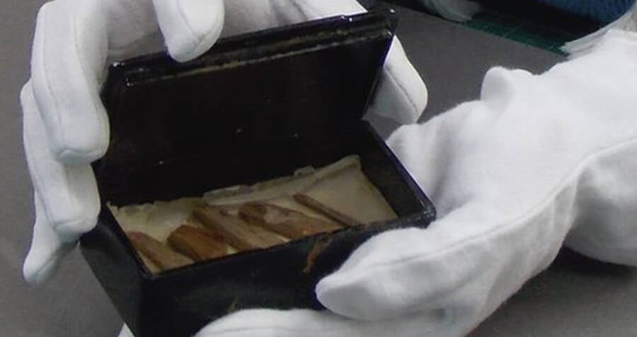 Ancient Egyptian Relic Hidden for Millennia Emerges from Unexpected Scottish Cigar Box Mystery