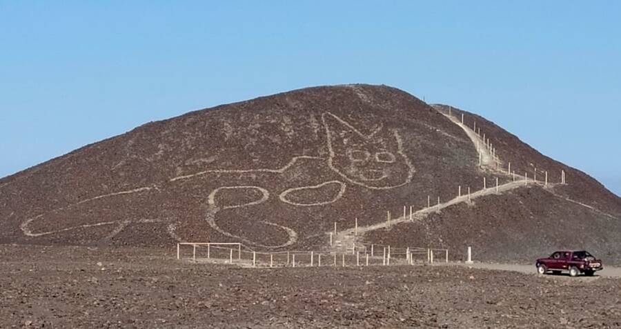 Ancient Giant Cat Geoglyph Unearthed in Peru: What Secrets Does This 2000-Year-Old Mystery Hold?