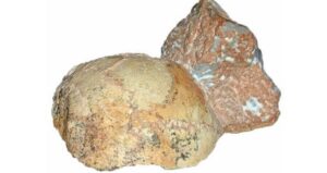 Ancient Mystery Deepens: Fossil Found Outside Africa Challenges Human Origins Timeline