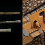Ancient Peruvian Elites’ Secret Rituals Unveiled: Mysterious Drug Use Found in 3,000-Year-Old Artifacts