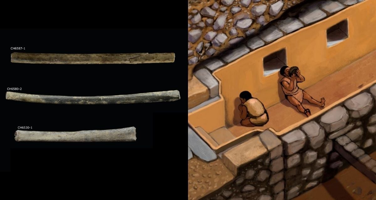 Ancient Peruvian Elites’ Secret Rituals Unveiled: Mysterious Drug Use Found in 3,000-Year-Old Artifacts