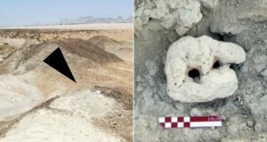 Ancient Secrets Unearthed: 5,000-Year-Old Fishing Site on Iran’s Coast Challenges History