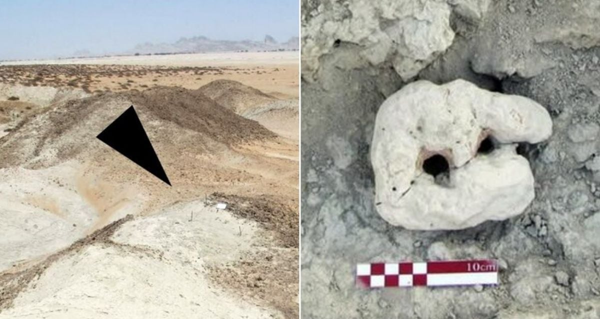 Ancient Secrets Unearthed: 5,000-Year-Old Fishing Site on Iran’s Coast Challenges History
