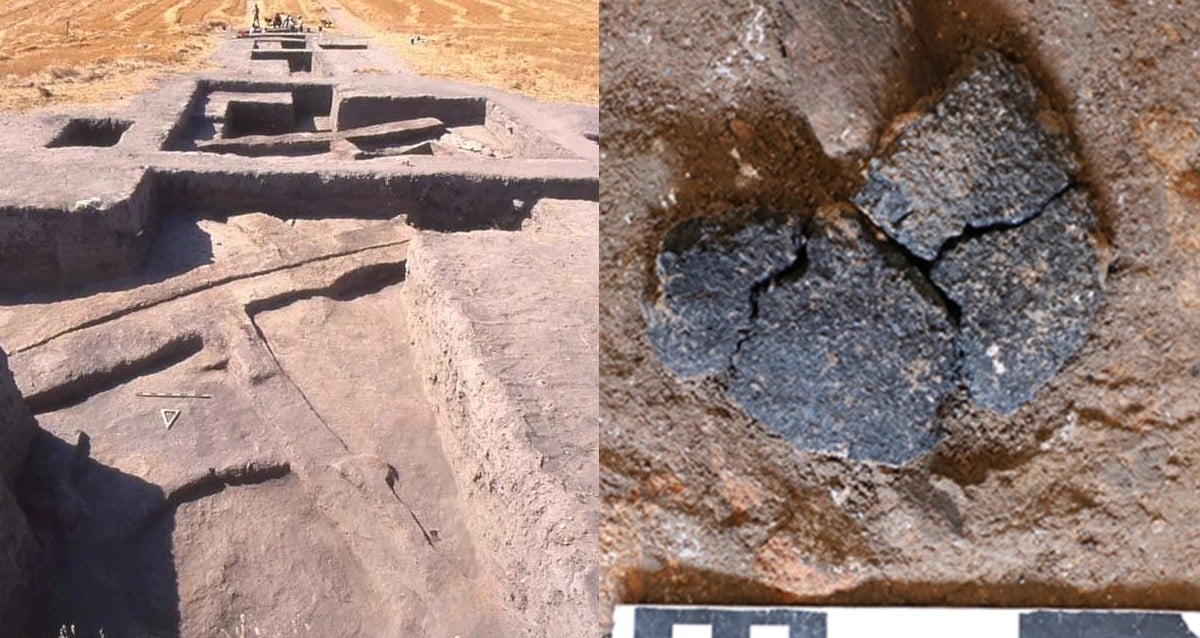 Ancient Secrets Unveiled: Bakers Bring 5,300-Year-Old Turkish Bread Back to Life