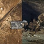 Ancient Spears Unearthed in Germany Rewrite Neanderthal History—What They Reveal Will Shock You