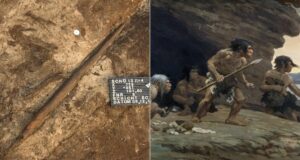 Ancient Spears Unearthed in Germany Rewrite Neanderthal History—What They Reveal Will Shock You