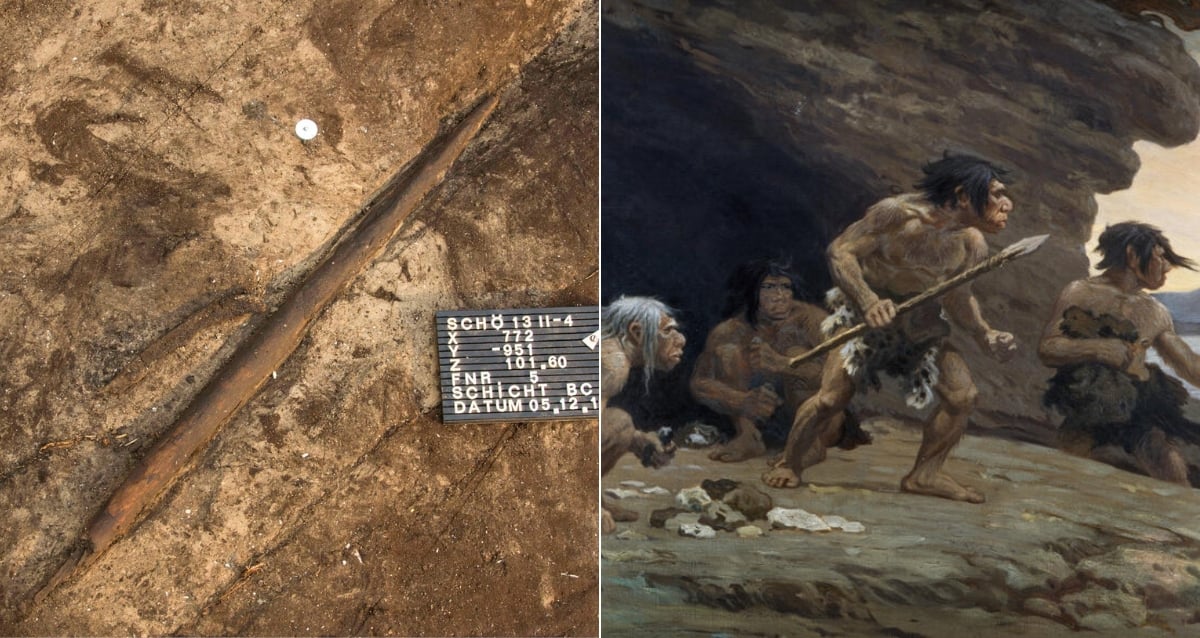 Ancient Spears Unearthed in Germany Rewrite Neanderthal History—What They Reveal Will Shock You