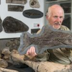 British Plumber Stumbles Upon Mysterious ‘Sea Dragon’ Fossil That Could Rewrite Dinosaur History