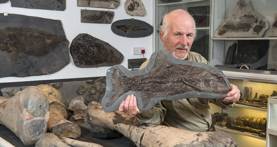British Plumber Stumbles Upon Mysterious ‘Sea Dragon’ Fossil That Could Rewrite Dinosaur History