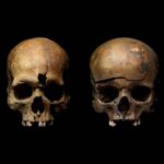 Buried Secrets of a 13th-Century Massacre: What Archaeologists Discovered Beneath the ‘City Drowned in Blood’