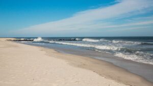 Decades-Old Bone Fragments Found on US Beaches Reveal Shocking Secret at Last