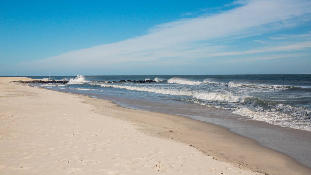 Decades-Old Bone Fragments Found on US Beaches Reveal Shocking Secret at Last