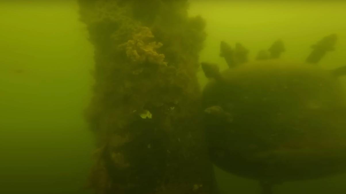 GoPro’s Ocean Drop Reveals Shocking Secret That Made Man Fear for His Life
