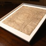 Harvard’s Forgotten Stained Document Holds a Shocking Secret: An Original 1300 Magna Carta Unveiled After Decades