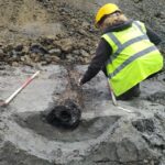 Hidden Beneath Belgium’s Streets, Ancient Wooden Roman Pipes Rewrite History—What Secrets Do They Hold?
