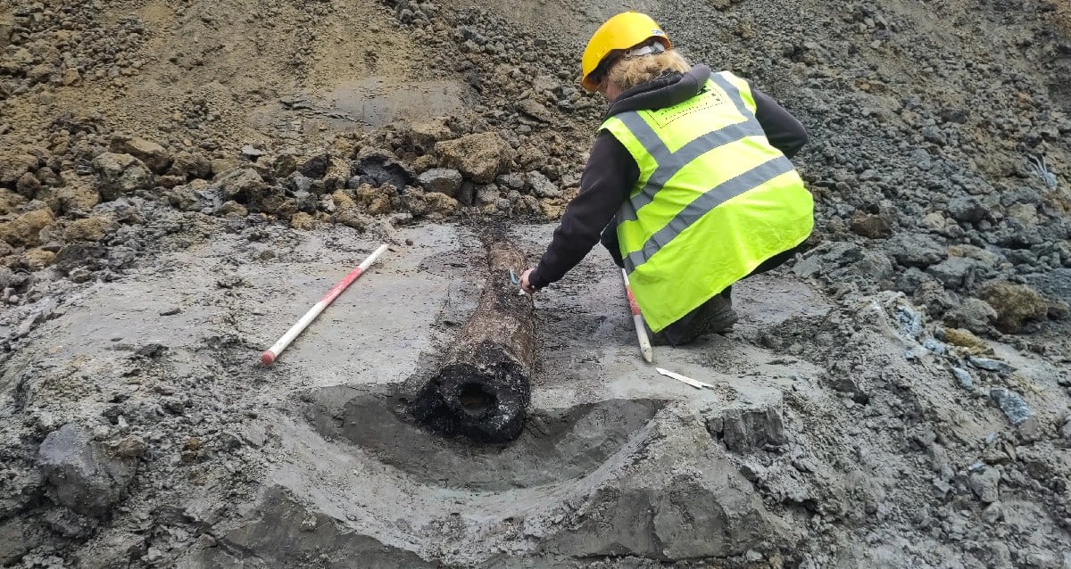 Hidden Beneath Belgium’s Streets, Ancient Wooden Roman Pipes Rewrite History—What Secrets Do They Hold?