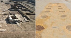 Hidden Beneath Egypt’s ‘Fortress Of The East,’ Archaeologists Unearth a Moat and a 500-Tree Walkway Lost to Time