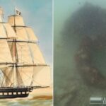 Hidden Secrets Unearthed: 19th-Century Dutch Shipwreck Discovered Off Australian Shores
