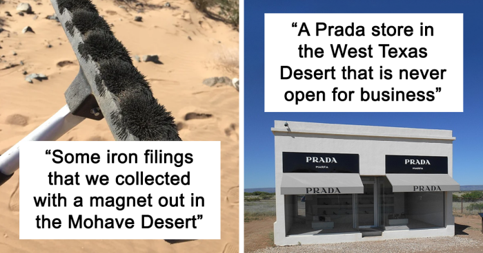 “‘Hotdog Stand’ and Other Astonishing Desert Secrets That Defy Explanation”