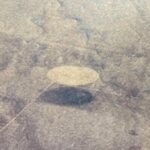 Is This '1000ft UFO' Just a Google Maps Glitch? Inside the Pilot’s Shocking Photo Debunked