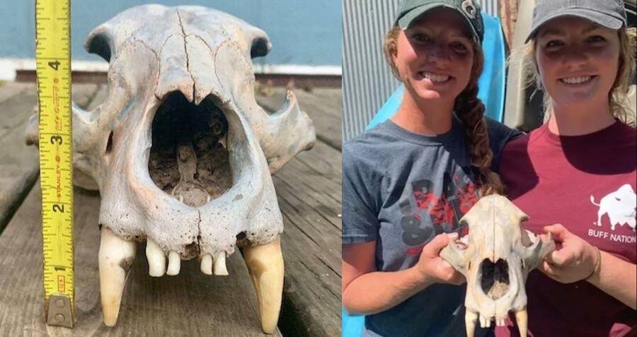Kayaking Sisters Stumble Upon Mysterious Grizzly Bear Skull Hidden for Centuries in Kansas River