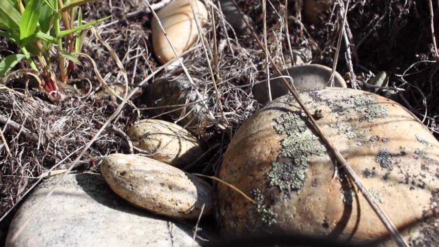 Mystery Deepens: Idaho Artifacts Challenge What We Know About North America’s Earliest Inhabitants