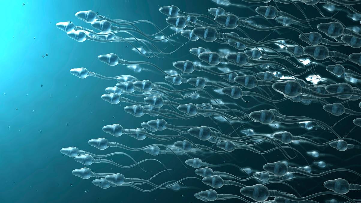 Revolutionary Male Contraceptive Breakthrough: Could This Be the End of Traditional Birth Control?