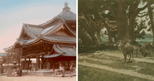 Step Back in Time: 40 Rare Photos Revealing Japan’s Untold Story from the 1800s