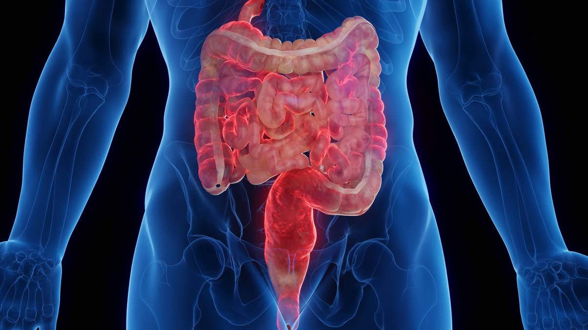 The Surprising Extract Scientists Say Could Stop a Widespread Health Crisis Before It Starts