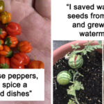 These 30 Gardening Fails Will Make You Rethink Growing Your Own Food Forever